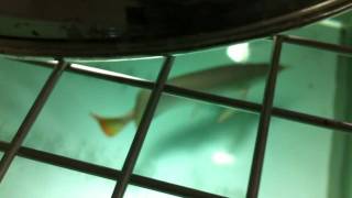 IMG 0450