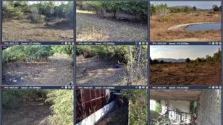 Thumbnail del capítulo