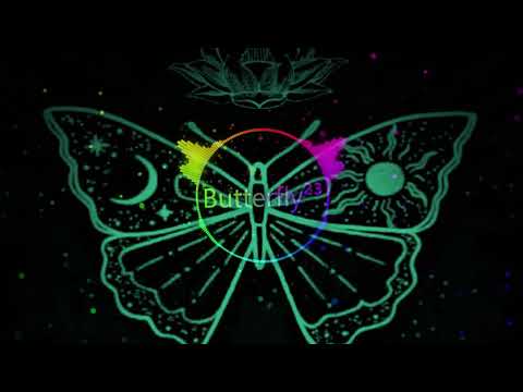 Butterfly²³ - 4x4 Frenchcore