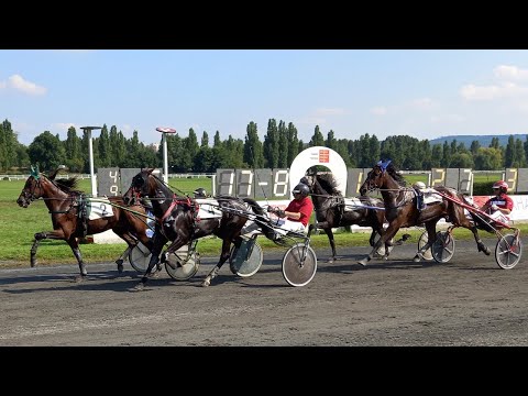 LIVE 🔴 | klusáci Chuchle Arena Praha – sobota 30. 10. 2021 od 12:00 hodin