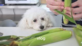 部分的に健康な食生活 | 犬との暮らし