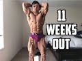 Matt Ogus - 11 weeks out Physique Update