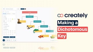 How to create a Dichotomous Key with Creately