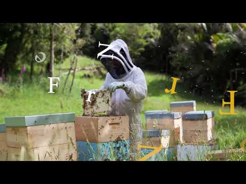 Manuka honey umf certified 10+, packaging size: 250grm