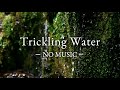 NO MUSIC 3 Hours Of Pure Trickling Water Sounds