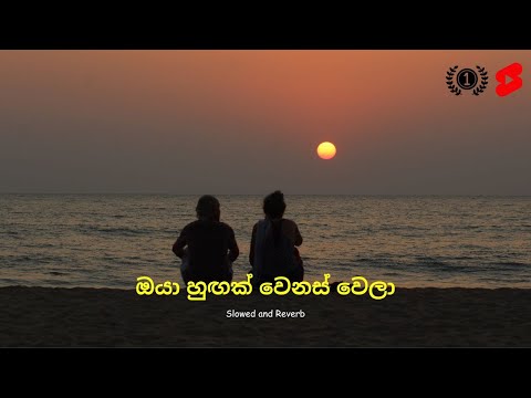oya hungak wenaswela (ඔයා හුඟාක් වෙනස් වෙලා) | Slowed & Reverb | Melody Master |