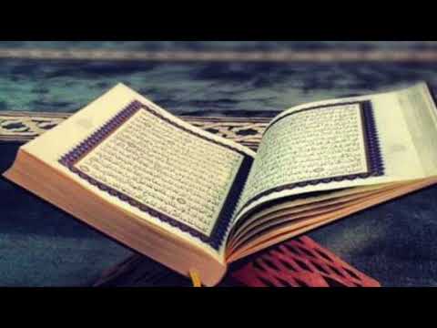 Hutba Bogobojaznost - 15.02.2019 Asmer ef. Ujkanovic