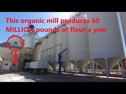 Building a micro bakery: Buying flour in bulk