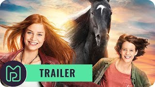 Trailer Preview Image