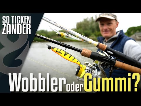 Gummi vs. Wobbler beim Zanderangeln! So ticken Zander!