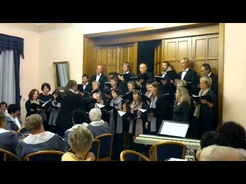 Sbor Vlastimil - 2011-11_04 - 01 - An Irish blessing.mp4