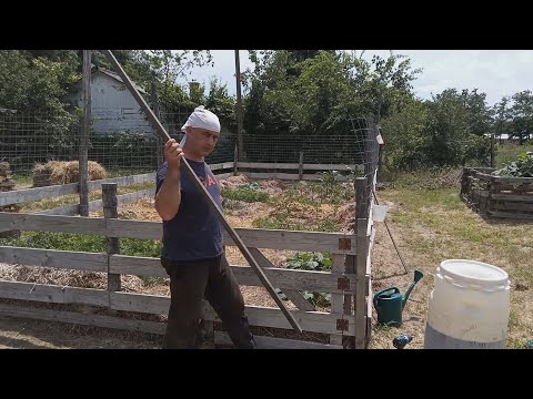 Mélymulcs 37 - Árnyékolás a növények fölé, A komposztálóban szenzációs dolgok történnek