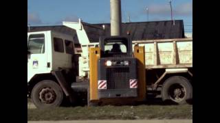 TAREAS DE LIMPIEZA Y FORESTACIÓN