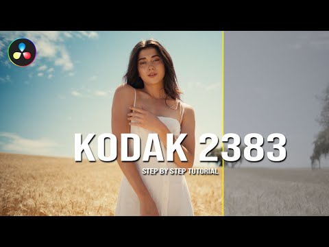 Use This Kodak 2383 Film Look to Instantly Upgrade Your Filmmaking