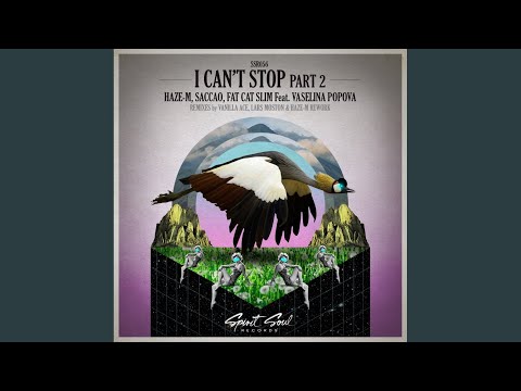 I Can't Stop Part 2 (Vanilla Ace Remix)