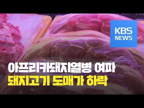 아이콘