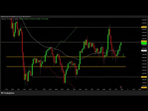 " شرحت طريقة التعامل مع أرقامي ومستوياتي بالملي " فيديو مهم جداً