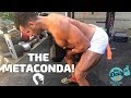 🐍THE METACONDA! | BJ Gaddour Fat Loss Metcon Circuit MetaShred Men's Health