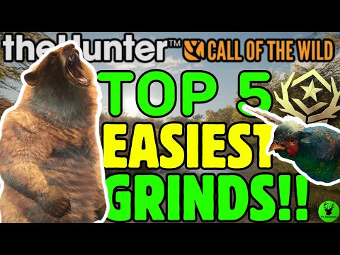 DO THESE EASY GRINDS FIRST!! Top 5 Easiest Grinds in COTW!!
