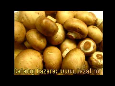 Cazare Potocelu, Dambovita - Cazat.ro