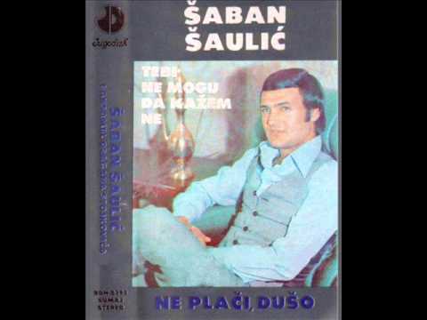 Saban Saulic - Tebi ne mogu da kazem ne - (Audio 1984)