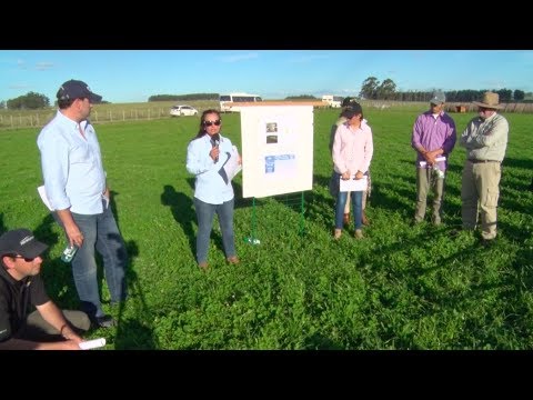 Día de Campo - Unidad Experimental Palo a Pique 2019 - Ethel Barrios 2