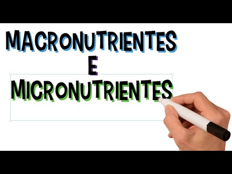 What are Macronutrients and Micronutrients, What are they for | Functions | Differences | Summary