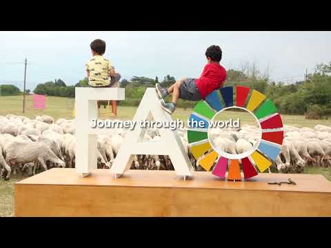 Introducing the Food and Agriculture Museum and Network