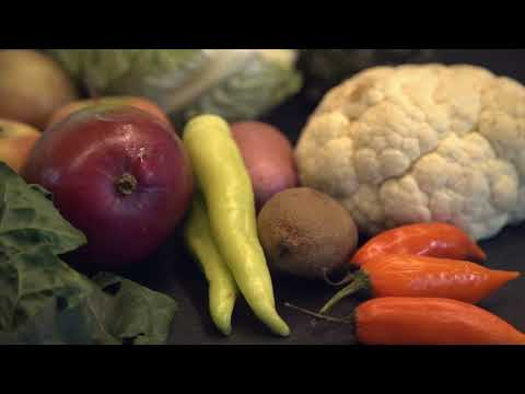 Rađanje zemlje - Zdrava prehrana - Ponedjeljak 17:05