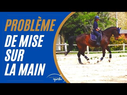 Equitation : Problème de mise sur la main