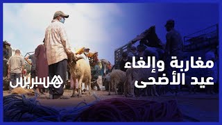 مع أو ضد إلغاء عيد الأضحى هذه السنة .. تعرف على أجوبة الشارع المغربي thumbnail