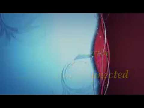 making dicisions and istihara