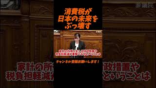【参政党】消費税が日本の未来をぶっ壊す【神谷宗幣】＃参政党＃神谷宗幣＃神谷＃消費税＃消費税減税