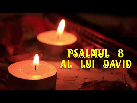 Psalm 8 | Audio Books | Poems, Prose, Psalms #psalm8 #psalms #bible #prayer