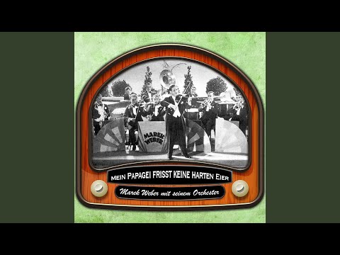 Ich will ja nichts als deine Liebe