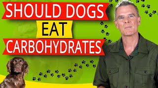 Should My Dog Be Eating Carbohydrates? (5 KEY Reasons Say NO)