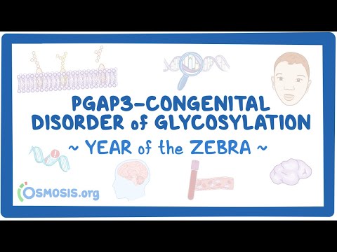 Canavan disease Year of the Zebra