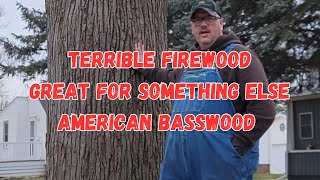 The American Basswood, low heat output but great for wood carving  Wood Wednesday
