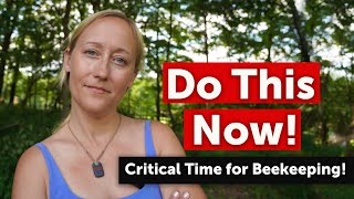 TREATING FOR VARROA MITES IN LATE SUMMER - Best Treatment Options, Why & When to do It