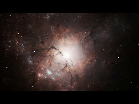 The Ambientalist - Spica