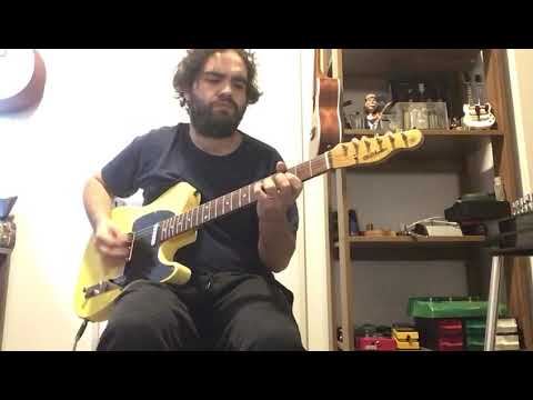 Diliberto Pickups - Telecaster - TL DELUXE (1)