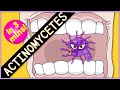 Actinomycetes Microbiology Morphology Pathophysiology Symptoms Diagnosis Treatment