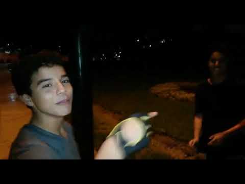 Drago vs Latrunchi - 2015