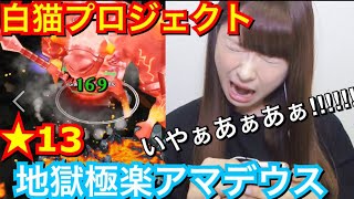 【白猫】協力★１３アマデウス！挑戦！！！【白猫テニス】