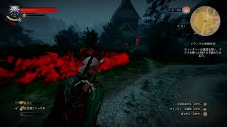 [ウィッチャー3ワイルドハント]ウィッチャーになる！！その11［ライブ］