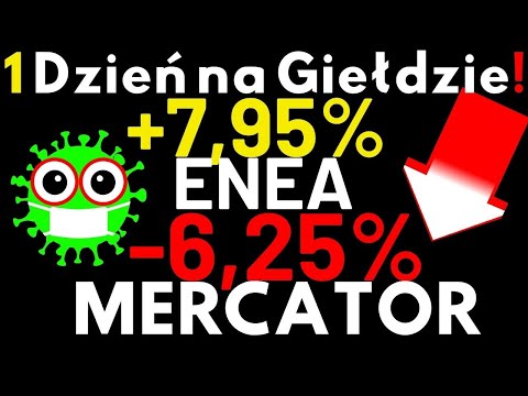 Giełdy łapią oddech po Spadkach które zafundował im Powell Prezes FED Mercator nie utrzymał wzrostów