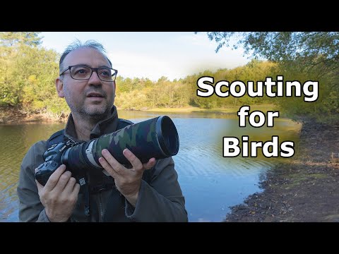 How I Scout a New Location for Bird Photography (Visiting a UK Nature Reserve)