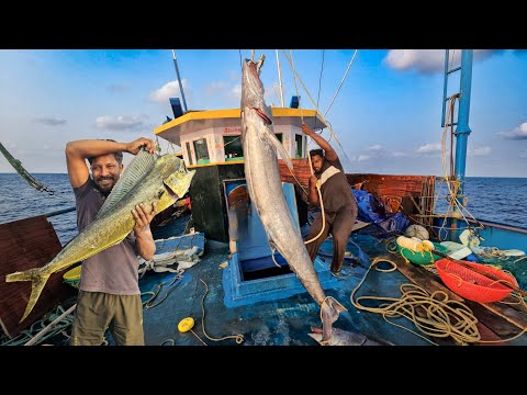 Day 29‼️ അഴകടലിൽ മീൻപിടുത്തം മീൻ വലയിൽ നിന്നും പോയാൽ കടലിൽ ചാടി ഞങ്ങൾ പൊക്കും ‼️