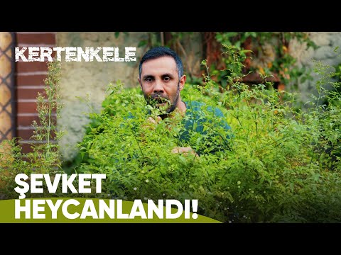 Şevket güneşlenen kızları görünce... - Kertenkele 2. Bölüm