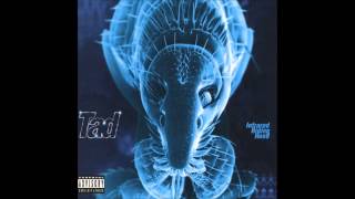 Tad - Bludge